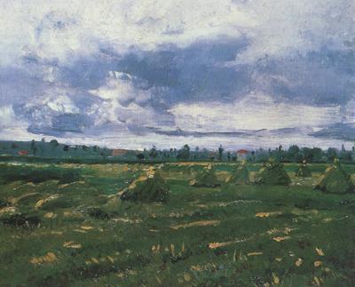 Vincent Van Gogh Wheat Fields with Stacks (nn04) Sweden oil painting art